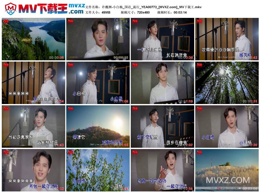 许魏洲-小白杨_国语_流行_YEA00773